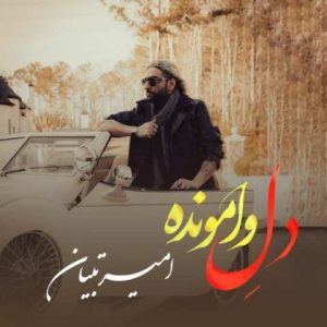 امیر تبیان – دل وامونده
